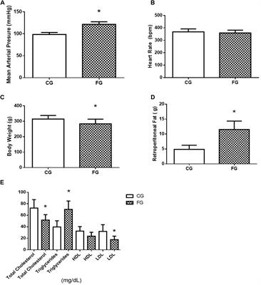 Intra-Renal Angiotensin Levels Are Increased in High-Fructose Fed Rats in the Extracorporeal Renal Perfusion Model